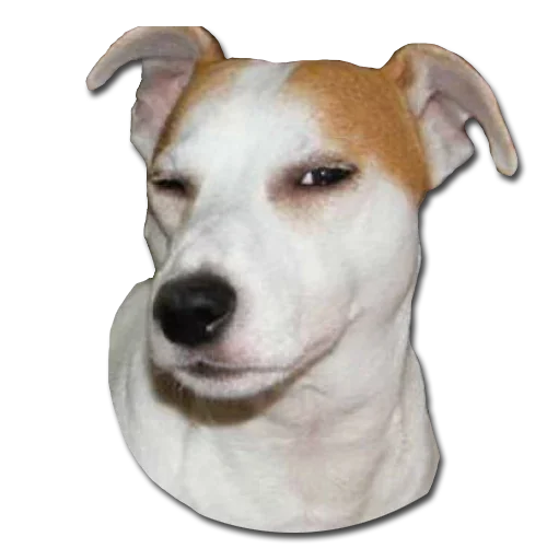 Стикер Конгратулейшен - 9