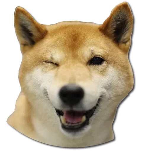 Стикер Конгратулейшен - 5