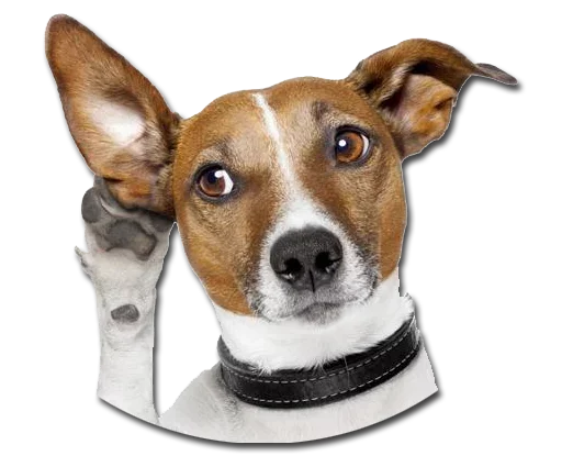 Стикер Конгратулейшен - 4