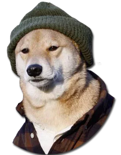 Конгратулейшен - 