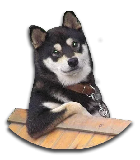 Стикер Конгратулейшен - 0