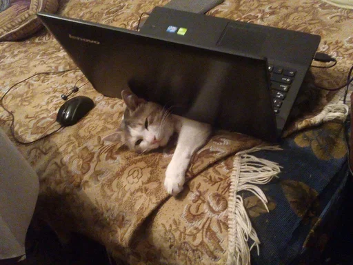 Стикер Эмоциональное потребление - 9