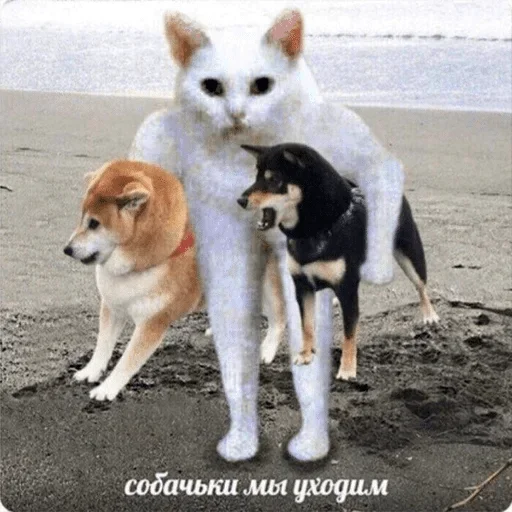 Стикер Эмоциональное потребление - 8