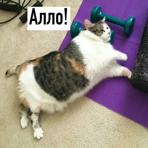 Стикер Эмоциональное потребление - 2