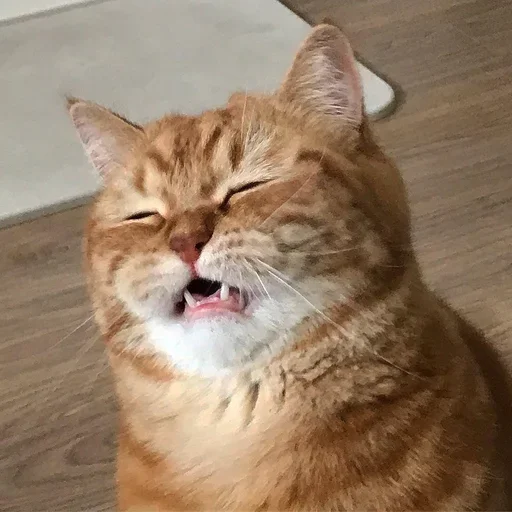 Стикер Эмоциональное потребление - 1