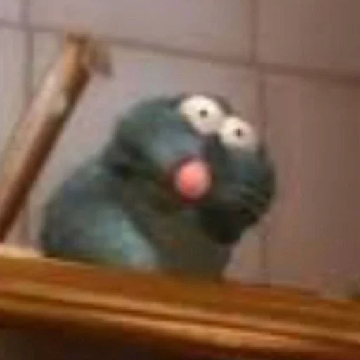 попугай животное птица