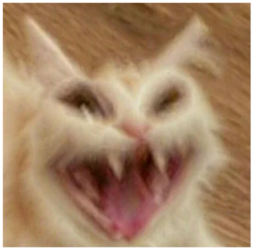 животное млекопитающее клык