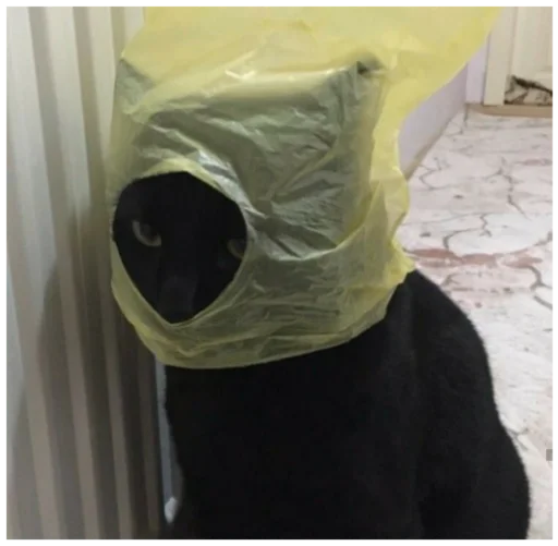 полиэтиленовый пакет аксессуар комнатный