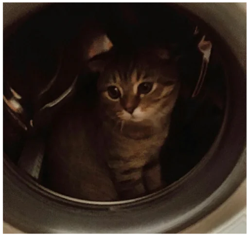 Стикер Туманчик X2?♥ - 10