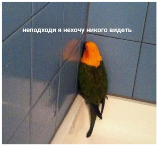 Стикер Туманчик X2?♥ - 9