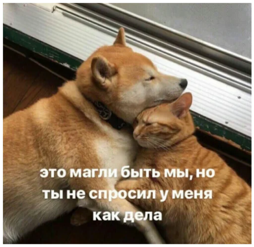 Стикер Туманчик X2?♥ - 7