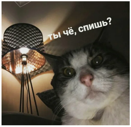 Стикер Туманчик X2?♥ - 6