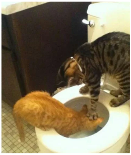 Стикер Туманчик X2?♥ - 5