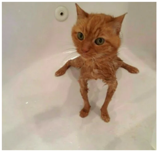 Стикер Туманчик X2?♥ - 4