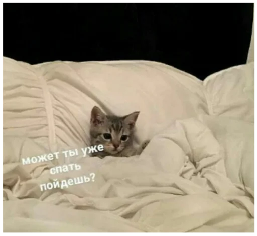 Стикер Туманчик X2?♥ - 3