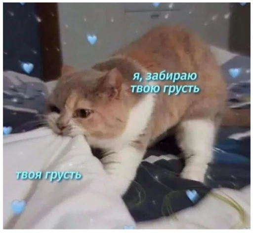 Стикер Туманчик X2?♥ - 2