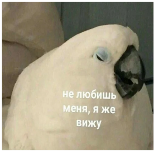 Стикер Туманчик X2?♥ - 1