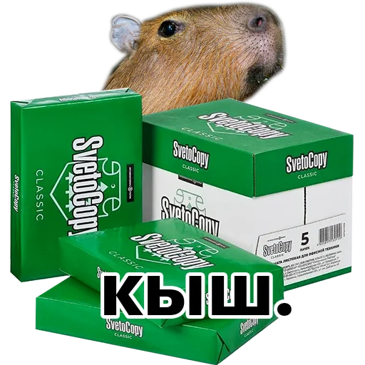 Sticker copy_bara - 1