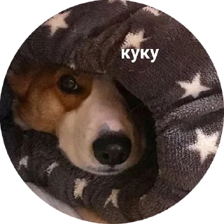 Стикер corgi chris - 11