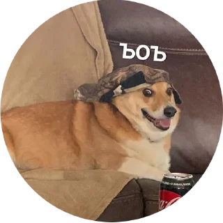 Стикер corgi chris - 6