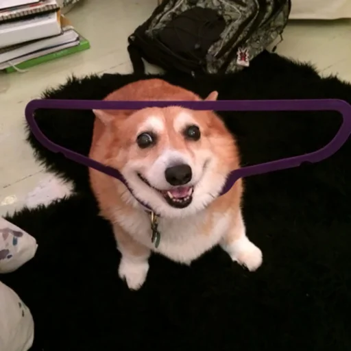 Sticker КОРГИ - 11