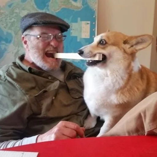 Sticker КОРГИ - 9