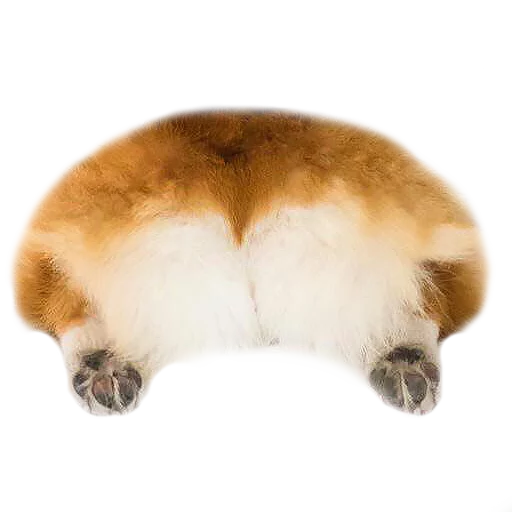 Стикер Corguage - 2