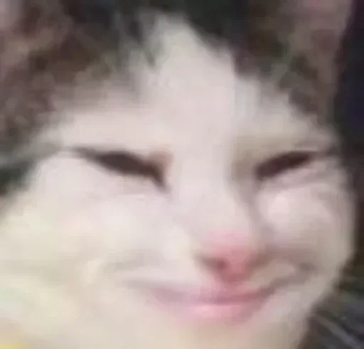 Sticker cotaphushit2 - 1