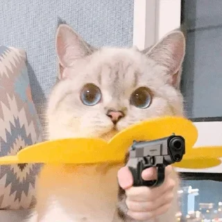 Стикер cotaphushit - 0