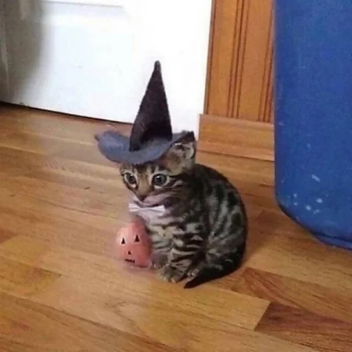 Стикер cotograms - 1