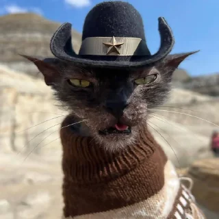 Sticker @cotograms  - телеграм канал с котиками ❤️ - 0