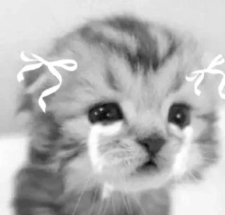 Стикер 𓆩 ᥴᥣ✦ᥙdყ ➩ ◃◁ @wexsavi 👀▷▹ - 0