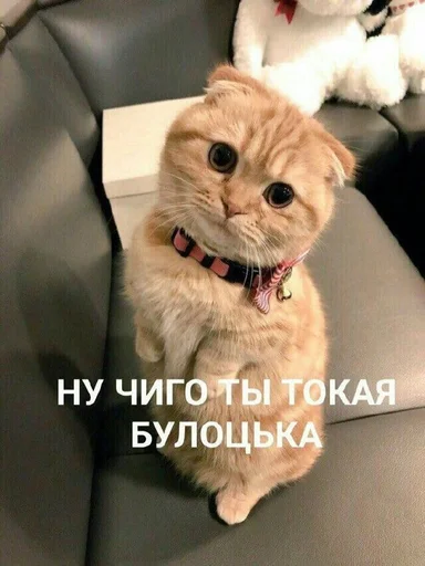 Стикеры @stickrubot @textmeru_bot - 