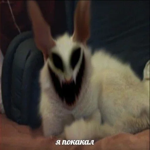 Sticker Стикеры @stickrubot @textmeru_bot - 7