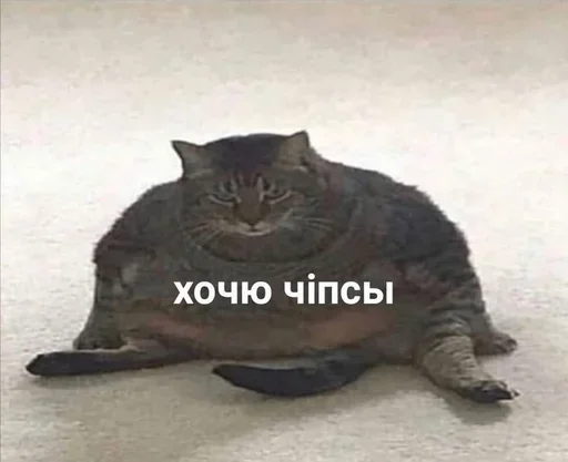 Sticker Стикеры @stickrubot @textmeru_bot - 6