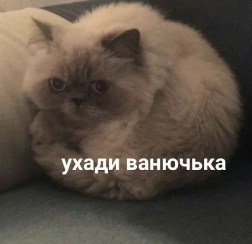 Sticker Стикеры @stickrubot @textmeru_bot - 4