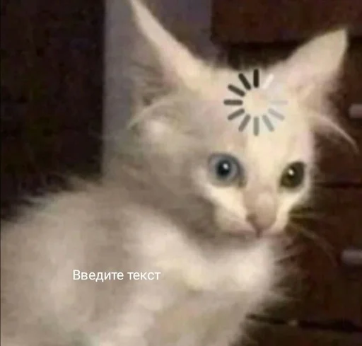 Sticker Стикеры @stickrubot @textmeru_bot - 1