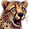 cheetah stickers - 