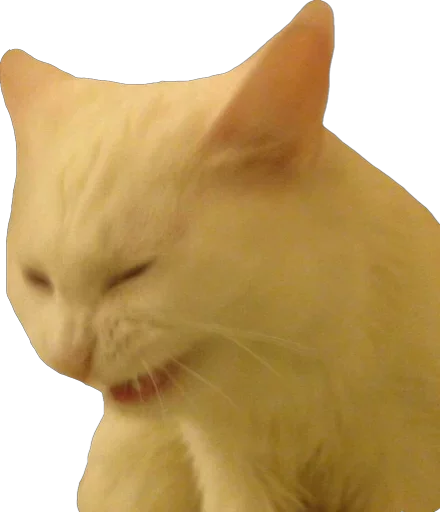 Stupid stickers - животное