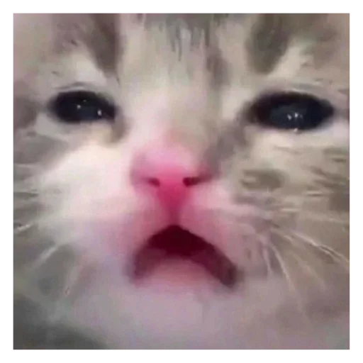 Sticker creeperx - 1