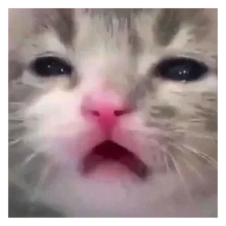 Sticker Стикеры чела под ником @PmCreep - 3