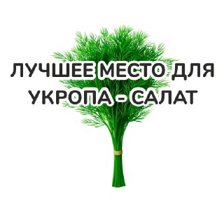 Стикер CrimeaINFORYM https://t.me/ZOVcrimea - 11