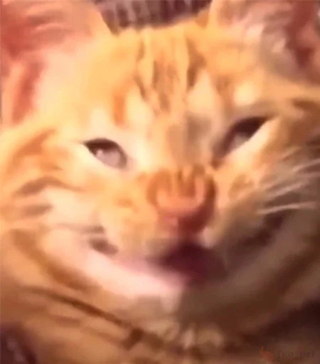 crimsxn's skitor pack - 