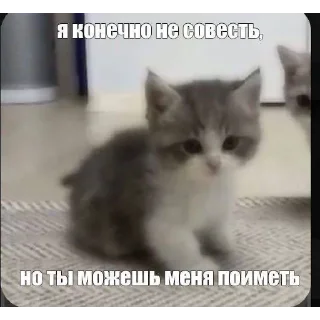 Sticker богу стыдно за меня - 7