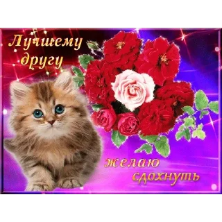 Sticker богу стыдно за меня - 3