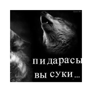 Sticker богу стыдно за меня - 1