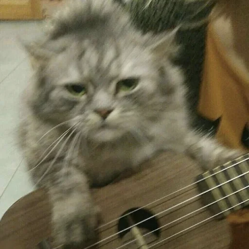 Стикер cringe_animals - 1