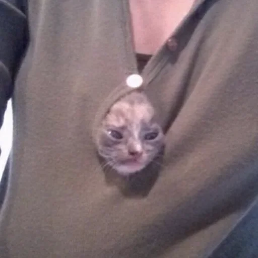 Sticker cringe_animals - 1