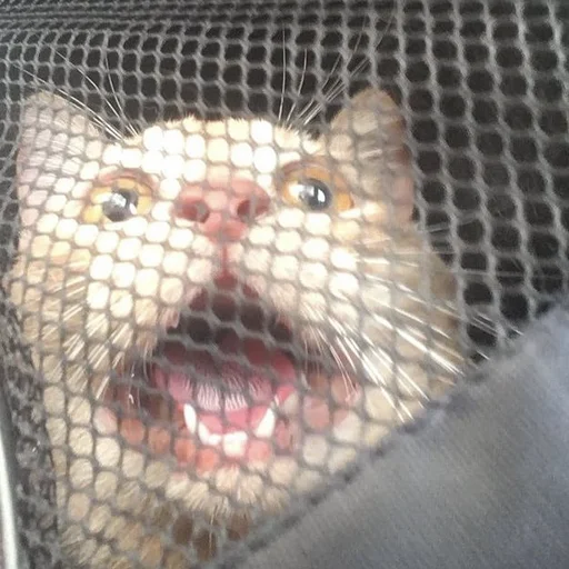 Sticker cringe_animals - 1