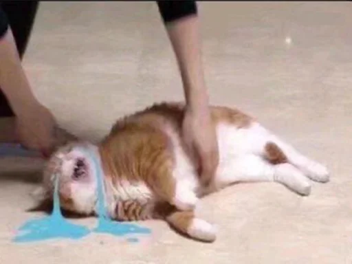 Стикер cringe_animals - 1